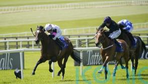 Porta Fortuna makes stylish return to action