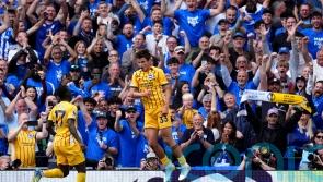 Spurs brought down to earth after Europa glory as Brighton secure big win