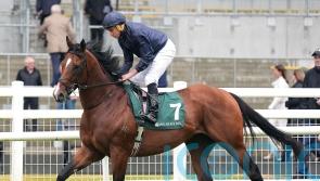 O’Brien keeping the faith with Storm Boy