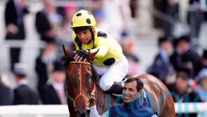 Bring it on – Hannon counting down to Ascot with Rosallion