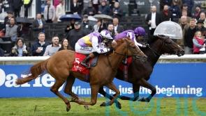 Stanhope Gardens on course for Derby assignment