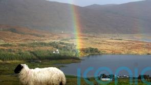 ‘Unique in the UK’ support scheme gives £6m to upland hill farmers