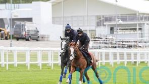 Damysus and Nightwalker pass muster in Epsom gallop