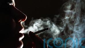 Met chief says decriminalising cannabis ‘not something we’re calling for’