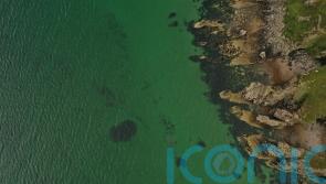 Marine conservation group claims damage to seabeds is a ‘national scandal’