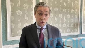 ‘Calm and measured dialogue’ required after Trump tariffs blocked, says Tanaiste