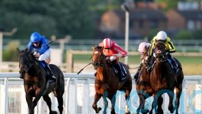 Opera Ballo back on the right track in Heron Stakes