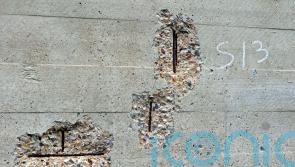 Schools and hospitals ‘not over hurdle’ of unsafe concrete, says minister