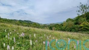 Natural England boss reveals concern over budget for nature restoration
