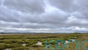‘Mud matters’ – research shows saltmarshes are significant carbon store