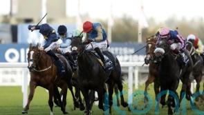 Kind Of Blue set for seasonal return at Chantilly on Sunday