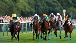 Balmoral Lady takes Haydock step up in class in her stride