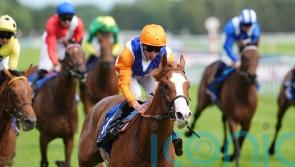 John of Gaunt win for Ten Bob Tony puts gloss on day Ed Walker will cherish