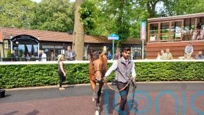 More to come from Haydock Eyecatcher Volterra