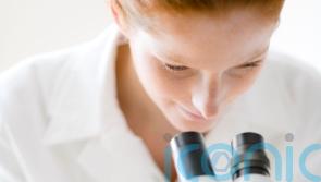 Innovative treatment effective in patients with certain tumours, study suggests
