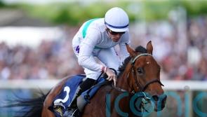 Setback puts Friendly Soul plans on hold