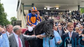 Moore delivers Chantilly masterpiece on Camille Pissarro
