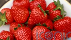 How to grow a bumper crop of strawberries to rival Wimbledon