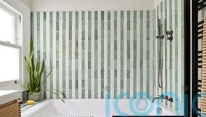 8 ways to freshen up your home through natural biophilic design