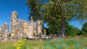 Charity searches for descendants of rioters involved in 1525 uprising