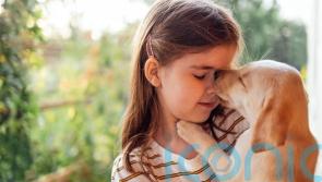 A pet dog could potentially prevent eczema in at-risk children – study