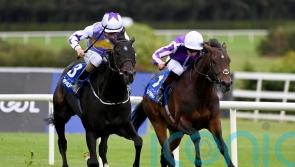 Green Impact putting intriguing formlines to the test at Leopardstown