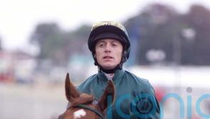 Fallon expecting big performance from Desert Flower