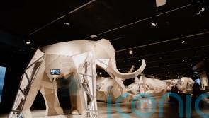 Exhibition of prehistoric Giants to make UK debut