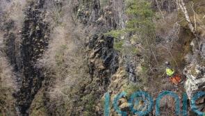 Conservationists abseil into 60-metre gorge to tackle invasive plant species