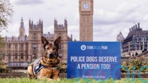 Ministers urged to give pensions to retired police dogs