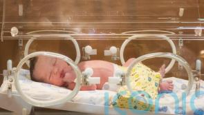 Swinney: Downgrading neonatal unit is about saving lives, not money