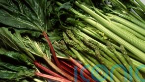 What’s in season in early summer? – and how to cook it