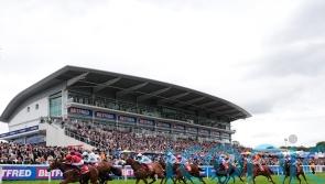Stormy Impact makes it Dash delight for Warren Fentiman