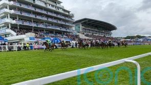 Jm Jungle gains ‘deserved’ sprint prize for John and Sean Quinn
