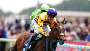 Goldie sweet on Ascot aim for American Affair