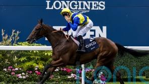 Goliath regains winning thread with La Coupe strike