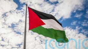 Four arrested and three cautioned following protests against pro-Gaza march