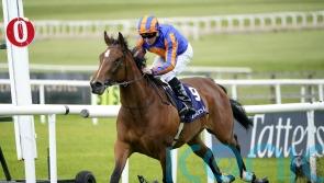 Lake Victoria ruled out of Royal Ascot