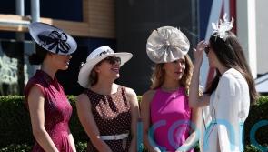 How to find the perfect fascinator for race day