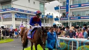 Tennessee Stud and Lambourn could have second Classic clash