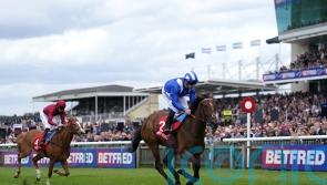Connections opt to miss French Oaks with Falakeyah