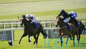Donnacha O’Brien hoping Porta Fortuna will be back for the autumn