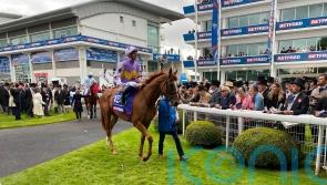 Beckett can see merit in coming back in trip with Stanhope Gardens