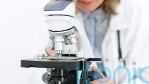 Scientists find new pathway which could help prevent diet-related liver cancer