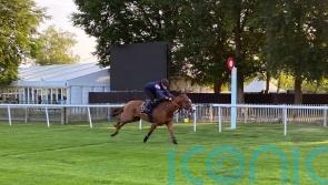 Carl Spackler in great shape with Ascot approaching