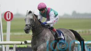 Field Of Gold on course for ’round two’ with Ruling Court