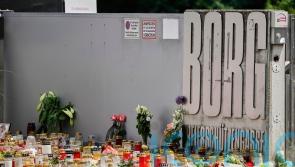 Austrian school shooter planned attack but motive still unclear, officials say