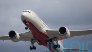 Bird strike may have caused Air India crash – expert