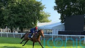 Satono Reve settling in well as Royal Ascot support continues