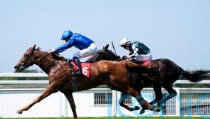 Saba Desert catches the eye with winning start at Sandown